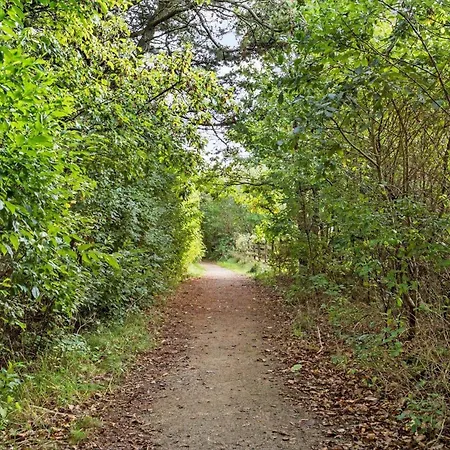 30211-ulfborg-erantisvej-328 Sønder Nissum